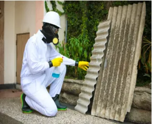 Asbestos inspection project